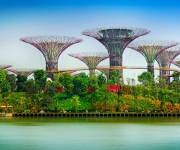 Zahrada budoucnosti - Singapur - SIMONA HEJLOVÁ