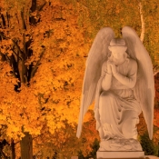 Andělé nás doprovází na každém kroku, i na místech posledního odpočinku našich milovaných!