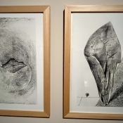 MAX ERNST, LISTY Z ALBA HISTOIRE NATURELLE, 1926