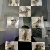 KOUŘOVÉ KRESBY TŘEMI  SIRKAMI  - AKTY